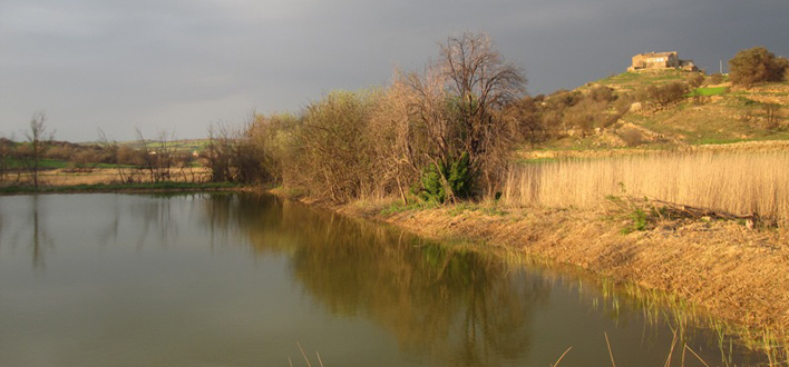 Los humedales de Granollers de La Segarra – Lleida