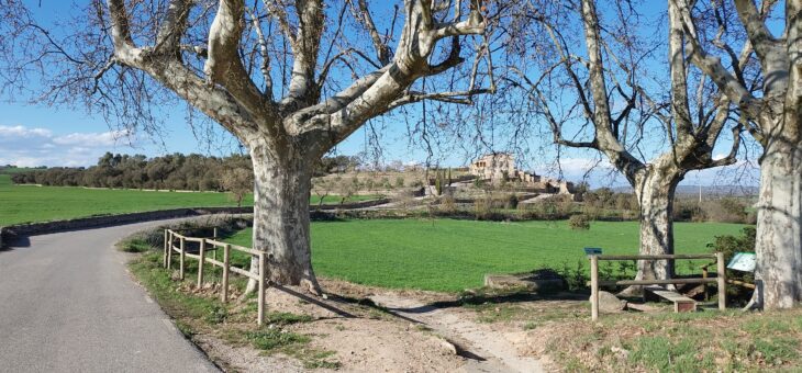 Posada en valor de la Font i Bassa de Farell – Massoteres (La Segarra)